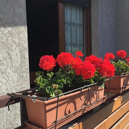 Residenza In Zona Pontedilegno T02034 *